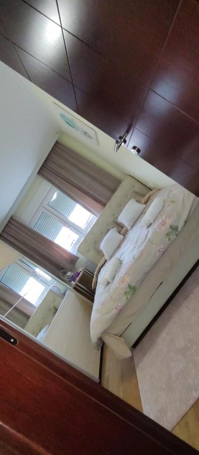 Apartman Mali Raj Vrnjačka Banja المظهر الخارجي الصورة